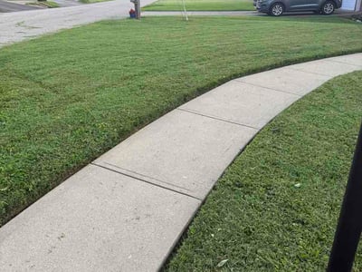 Lawn Care service in Erlanger, 41018