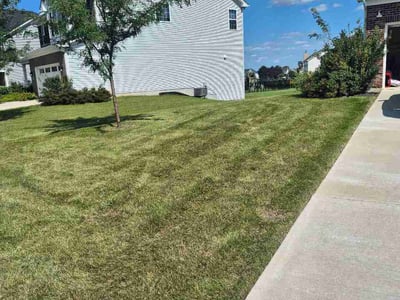 Lawn Care service in ,