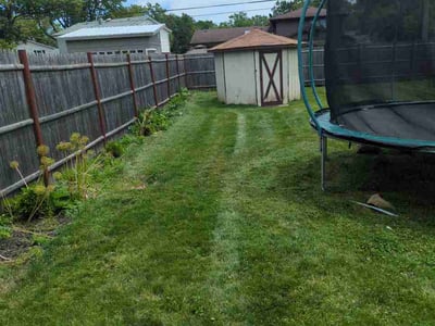 Lawn Care service in Roselle, 60172