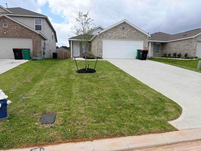 Lawn Care service in Waxahachie, 75165