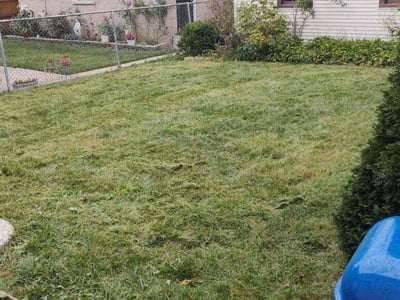 Lawn Care service in Roselle, 60172