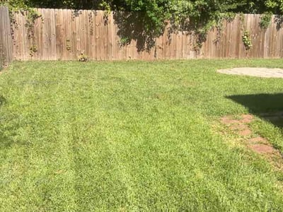 Lawn Care service in Princeton, 75407