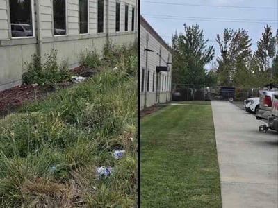 Lawn Care service in Eugene, 97401