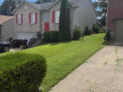Lawn Care service in Burlington, 41005