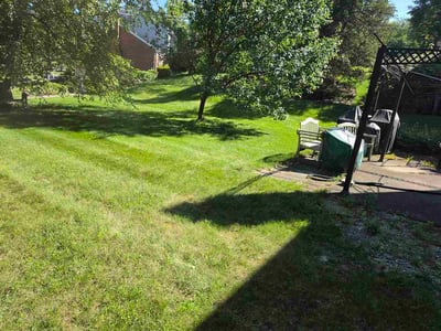 Lawn Care service in Burlington, 41005