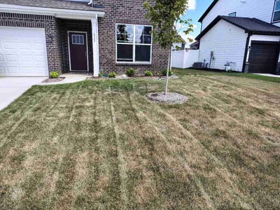 Lawn Care service in West Lafayette, 47906