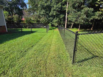 Lawn Care service in Lenoir, 28645