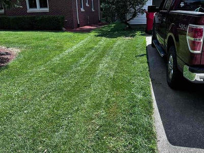Lawn Care service in Champaign, 61820