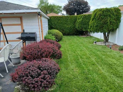 Lawn Care service in Dolton, 60419