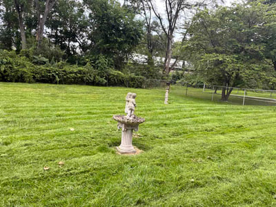Lawn Care service in Palatine, 60074