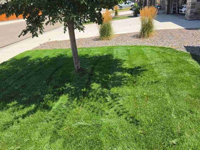 Lawn Care service in Greeley, 80631