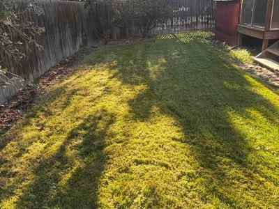 Lawn Care service in Lafayette, 80026