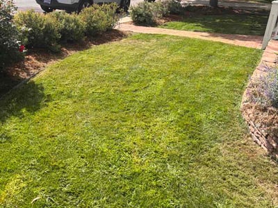 Lawn Care service in Lafayette, 80026