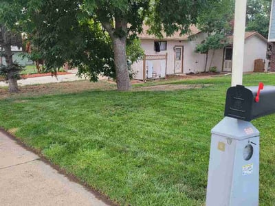Lawn Care service in Lafayette, 80026