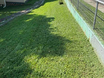 Lawn Care service in Edgewater, 21037