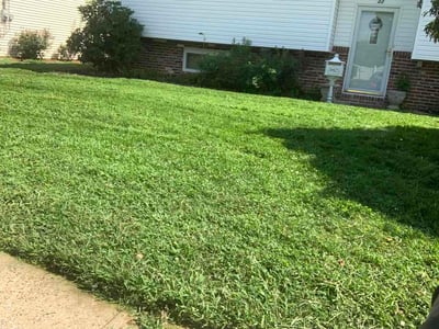 Lawn Care service in Blackwood, 08012
