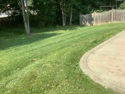 Lawn Care service in Blackwood, 08012