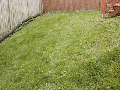 Lawn Care service in Elk Grove Village, 60007