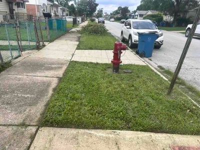 Lawn Care service in Elk Grove Village, 60007