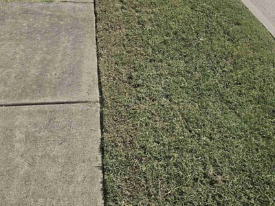 Lawn Care service in Paradise, 95969
