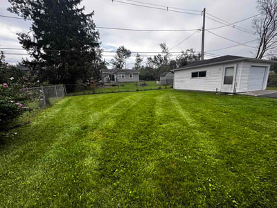 Lawn Care service in Crete, 60417