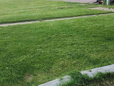 Lawn Care service in Saint Cloud, 56301