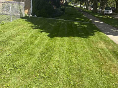 Lawn Care service in Crest Hill, 60403
