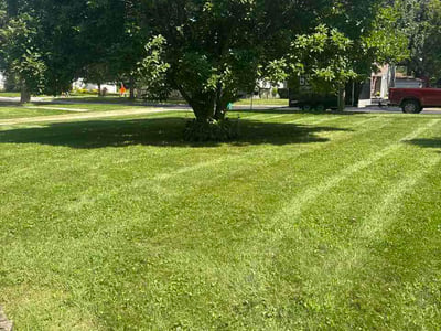 Lawn Care service in Lombard, 60148