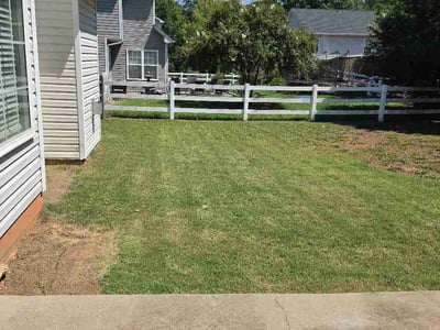 Lawn Care service in Fort Mill, 29715