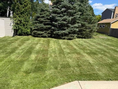 Lawn Care service in Carol Stream, 60188