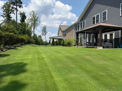 Lawn Care service in Fort Mill, 29715