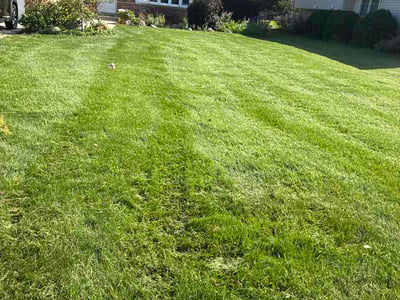 Lawn Care service in Bartlett, 60103