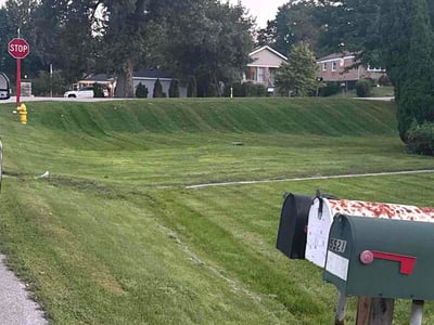 Lawn Care service in Downers Grove, 60515