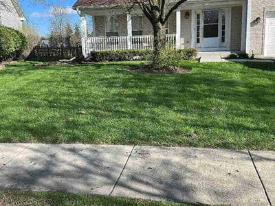 Lawn Care service in Downers Grove, 60515