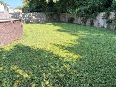 Lawn Care service in Warrenton, 20186