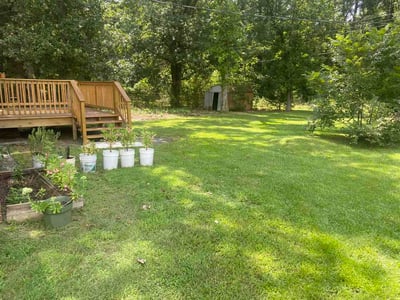 Lawn Care service in Rock Hill, 29730