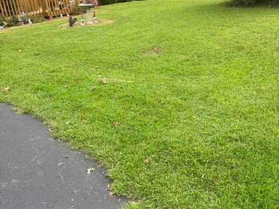 Lawn Care service in Charlottesville, 22902