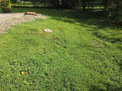 Lawn Care service in Sicklerville, 08081