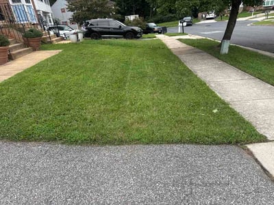 Lawn Care service in Hyattsville, 20781