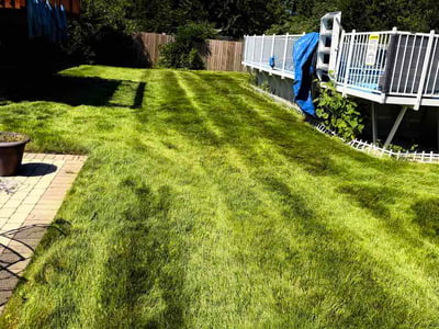 Lawn Care service in Crystal Lake, 60014