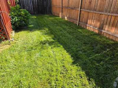 Lawn Care service in Marlton, 08053