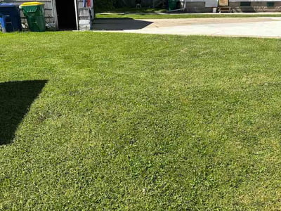 Lawn Care service in Sheboygan, 53081