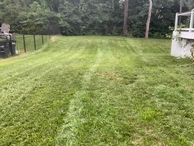 Lawn Care service in Burlington, 08016