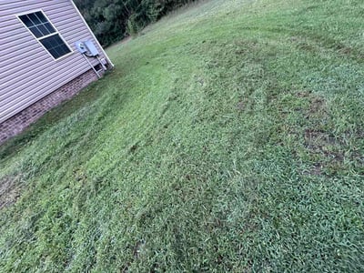 Lawn Care service in Harrisonburg, 22802