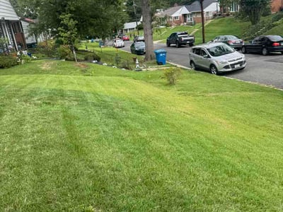 Lawn Care service in District Heights, 20747