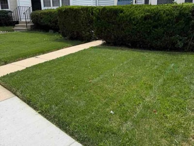 Lawn Care service in District Heights, 20747