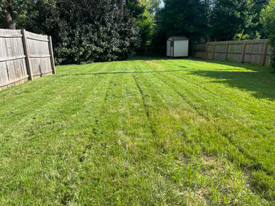 Lawn Care service in Calera, 35040