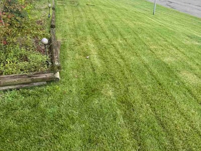 Lawn Care service in Clinton, 20735