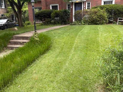 Lawn Care service in Clinton, 20735