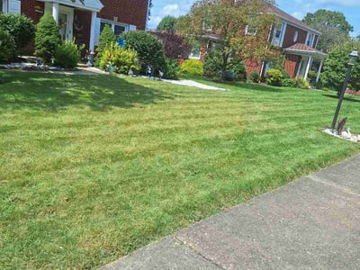 Lawn Care service in Steubenville, 43952